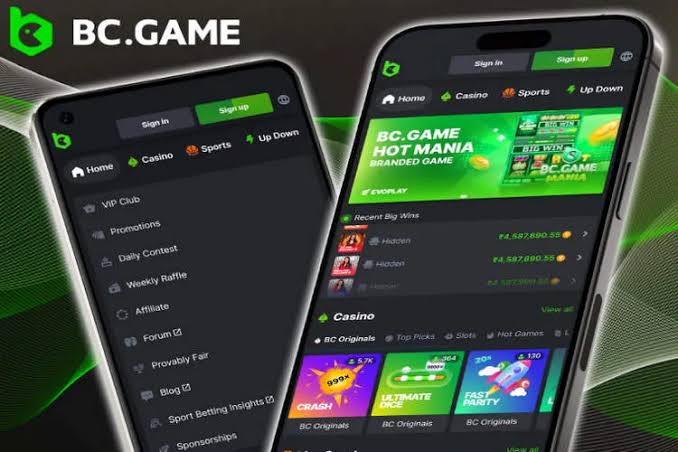 The Ultimate Guide to BC.Game Casino Your Gateway to Crypto Gaming